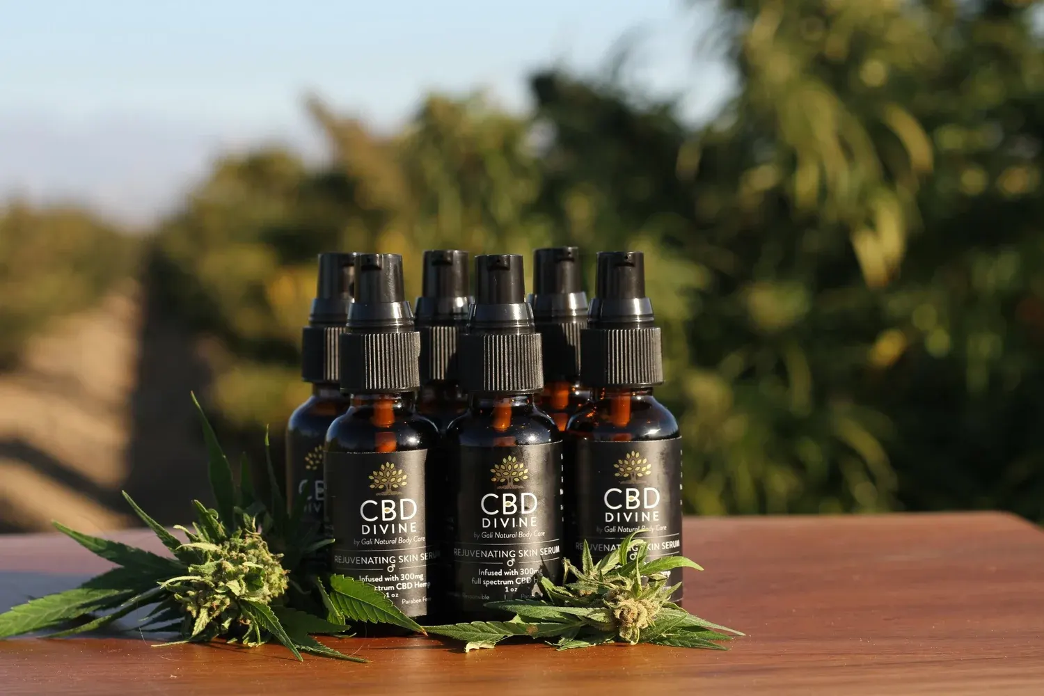 CBD Divine project image 3