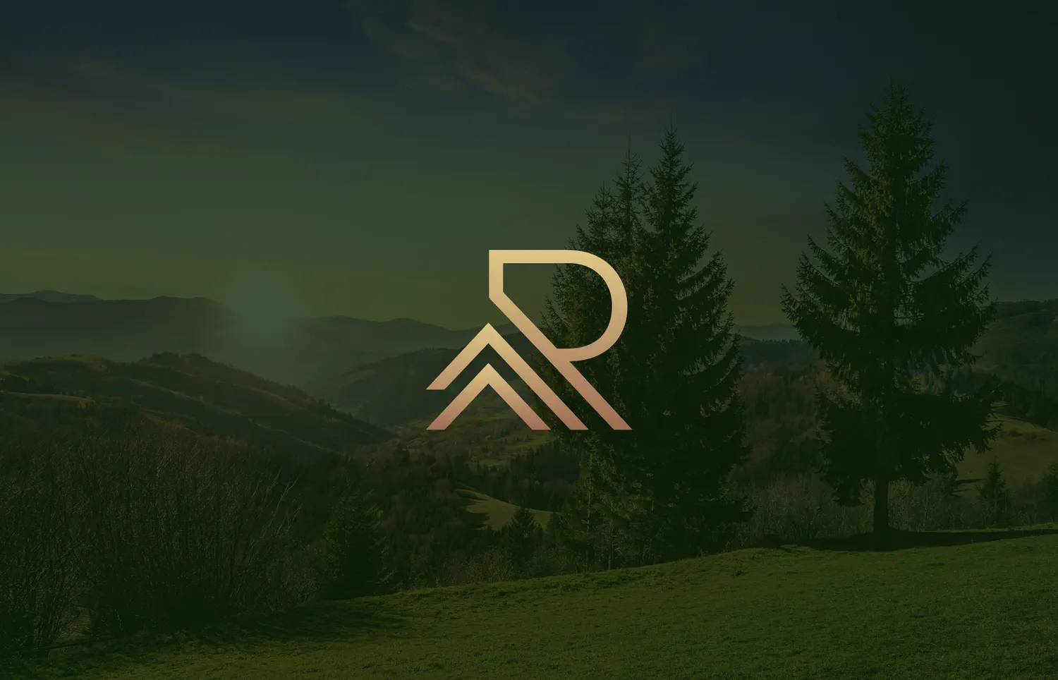 Redwood Empire Realty brand work