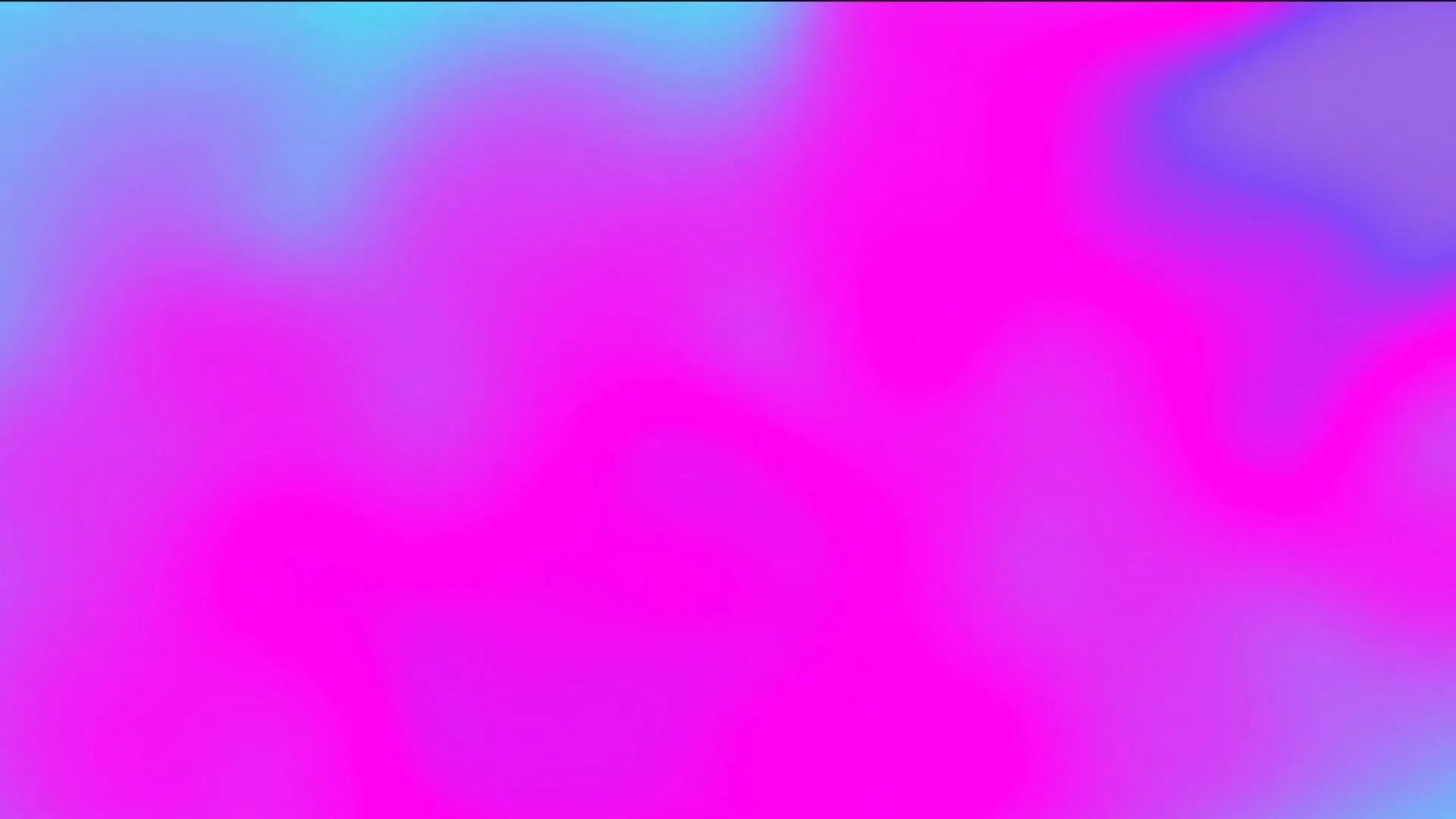 Wonder and Wit brand motion loop